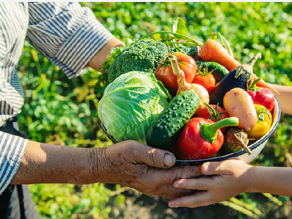 Prefeitura de Quiterianópolis divulga edital para credenciamento de agricultores e entidades ao PAA